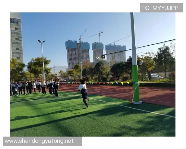 姚明悠悠球的魅力与技巧探秘让我们一起感受运动与艺术的完美结合