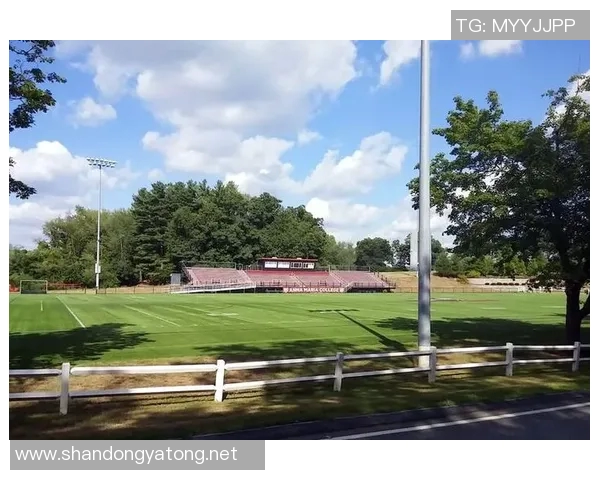 天主青年与萨斯菲历史的交汇与碰撞探讨