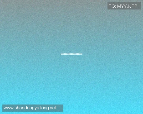 介休篮球明星的成长之路与辉煌成就探秘
