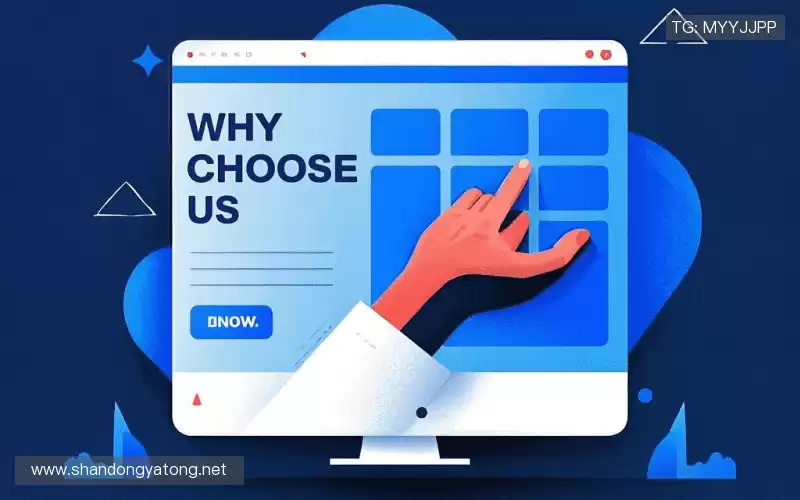 行业领先的理由